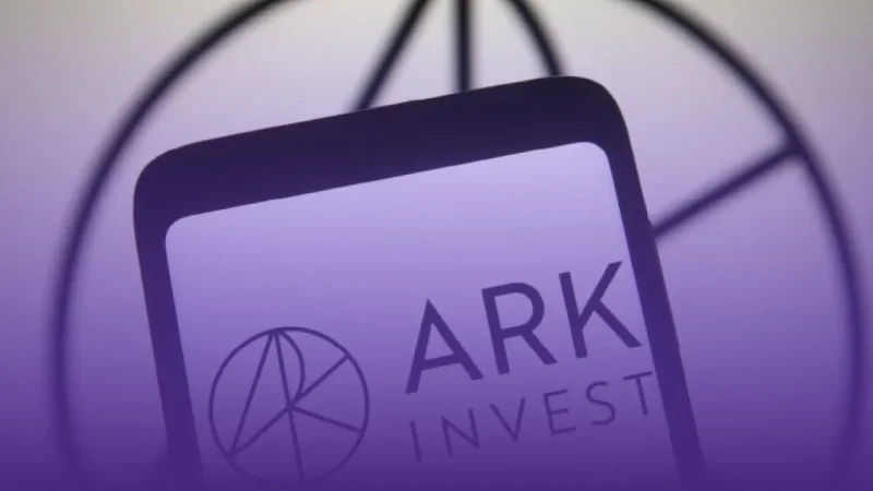 Ark Invest buys PLTR Stock and Tesla Rival.